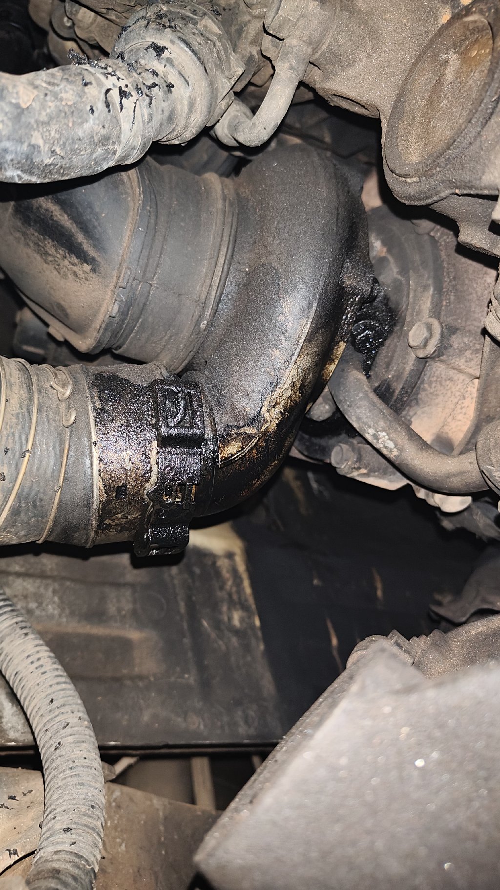 Summary Image summary_68ae20c7b198d